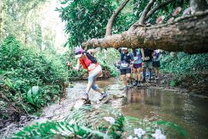 BIB: 
                            <button type="button" onclick="openModal(25476804)" class="btn btn-primary btn-sm float-right btn-popup" data-toggle="modal" data-target=".modal-high-quality">
                        <i class="fas fa-shopping-cart"></i> Add to Cart
                    </button>
                                            <button type="button" onclick="isThisMe(25476804, true)" class="btn btn-success btn-sm float-right btn-popup btn-isme hidden" data-toggle="tooltip" data-placement="bottom" title="นี่คือรูปของคุณใช่ไหม คลิกที่นี่เพื่อเอาเข้าอัลบั้ม">
                        <i class="fas fa-plus"></i> Add to album
                    </button>
                    <button type="button" onclick="isThisMe(25476804, false)" class="btn btn-warning btn-sm float-right btn-popup btn-isnotme hidden">
                        <i class="fas fa-ban"></i> Remove from album
                    </button>